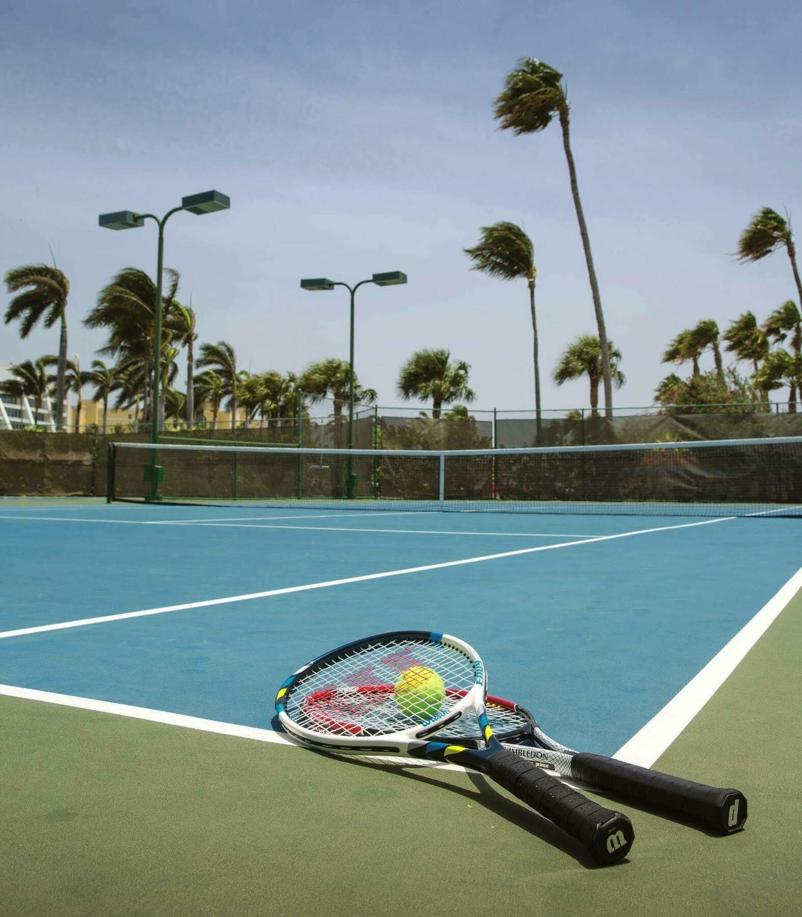 Marriott'S Aruba Ocean Club Hotel Palm Beach Kültér fotó